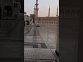 Asslam o alaika Ya Rasool ALLAH | Madina | Roza Rasool #shorts #viral #madina #best