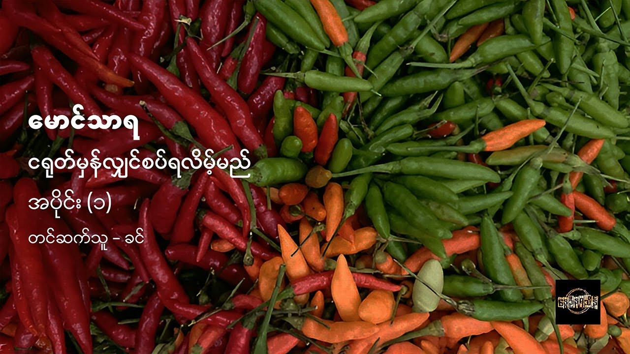 ငရုတ်မှန်လျှင်စပ်ရလိမ့်မည် (အပိုင်း - ၁) - မောင်သာရ