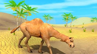Farm Camel Wild Life Simulator 3D Game ||Modern Camel Mobile game android// walkthrough gameplay screenshot 1