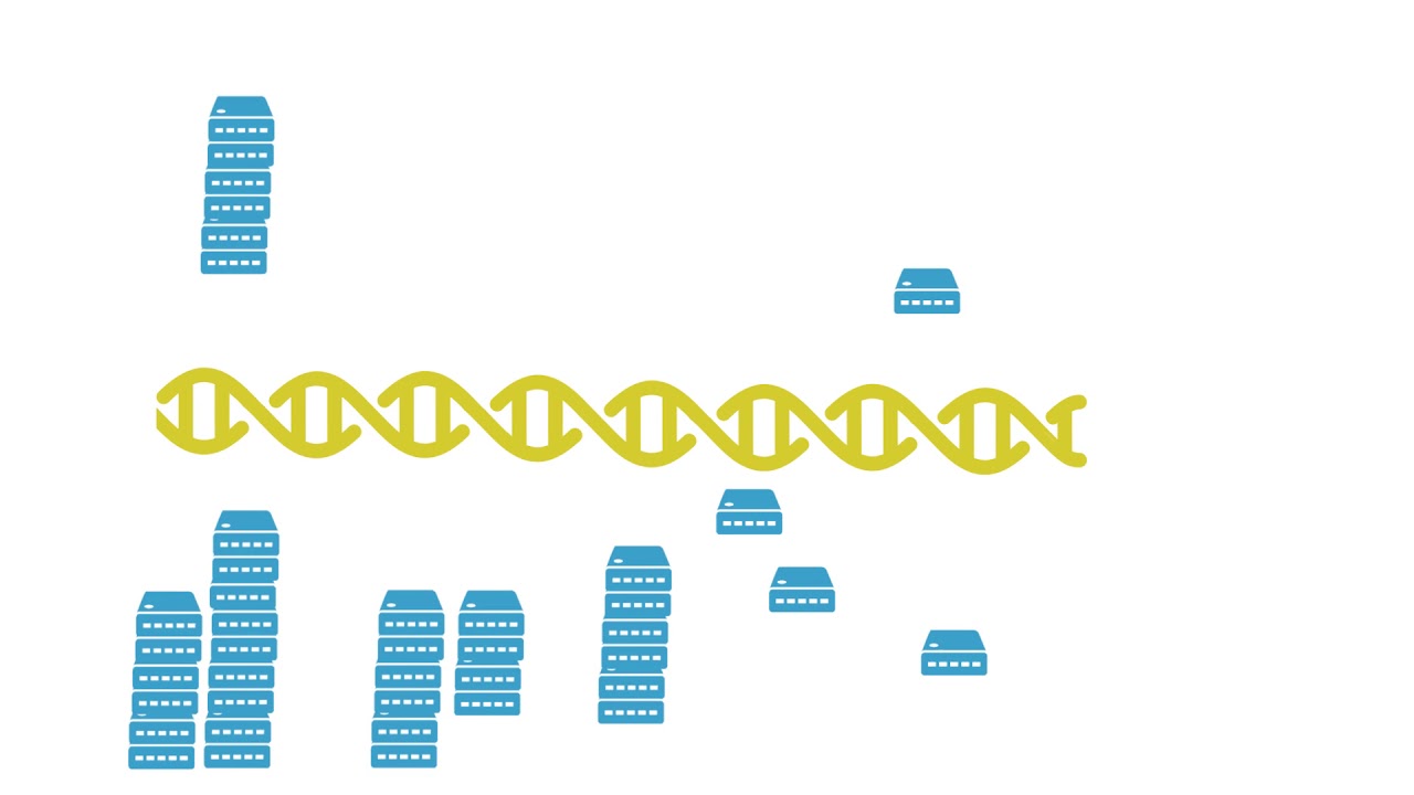 Ignis (IGNIS) Exchanges - Where to Buy,Sell,Trade | CoinLore