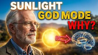 Evolutionary Biologist Explains What 30 Minutes of Sunlight Does to Your Body