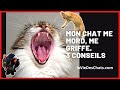 MON CHAT ME MORD ME GRIFFE 3 MOYENS DE L ÉVITER mp3