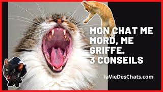 MON CHAT ME MORD, ME GRIFFE, 3 MOYENS DE L'ÉVITER