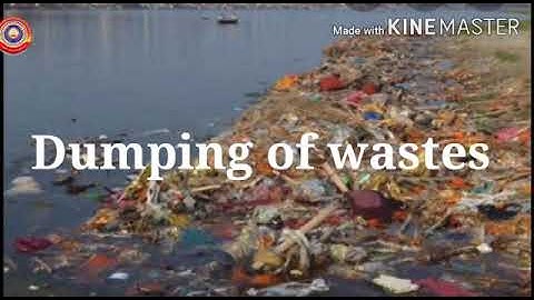 KRSMA#Standard 4 EVS Part 7 Chapter 1 Fields And Forests