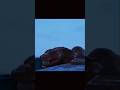 The Giant Encounter: 4K Cinematic Shot 🎥"#shortsfeed #ps7official #movie #viral #anaconda #shorts