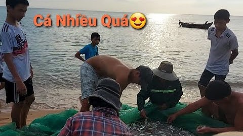 Cảnh người dân kéo lưới bắt cá vào buổi sáng trên bãi biển Phú Yên
