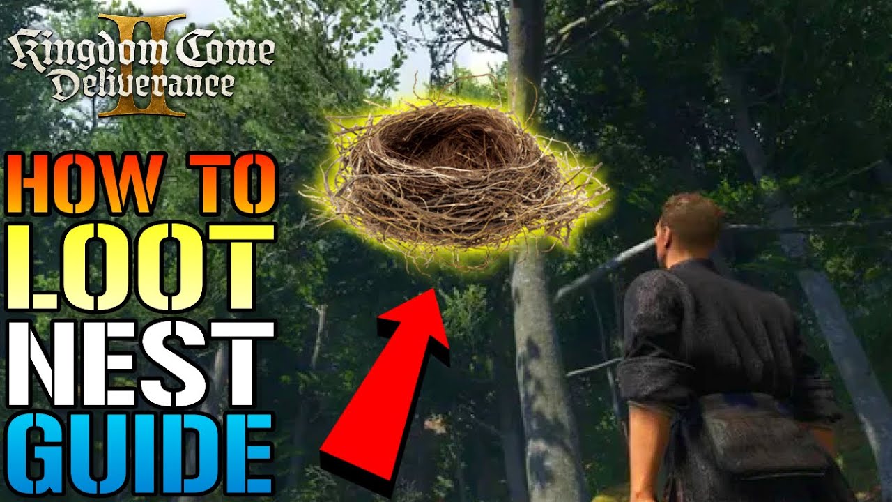 Kingdom Come: Deliverance 2: Как снести «ГНЕЗДО» и забрать их... ЛЕГКИЙ способ (Руководство)