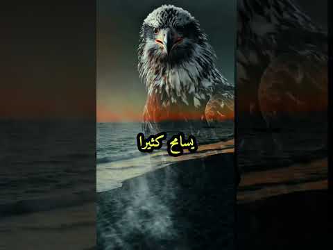 الانسان الطيب خواطر اقنباسات عبارات حالات واتس حكم حكم وأقوال