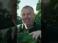 Interview Weinlese