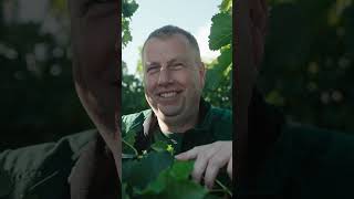 Interview Weinlese