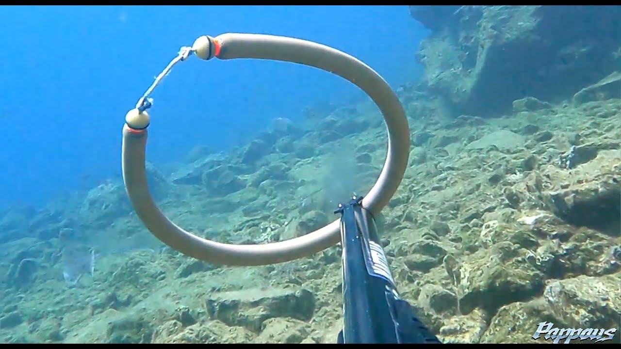 🎯Μονολάστιχο🔫και ξερό🍞ψωμί🦊