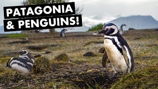 USHUAIA, ARGENTINA: Our PATAGONIA Adventure begins! | Ep. 79