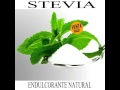 VENTA DE PLÃNTULAS Ornamentales, Forestales, Frutales, Medicinales, Aromáticas…
