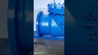 Cast Iron Non Return Valve | Available on IndiaMART