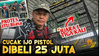 Cucak Ijo Harga 25 Juta Juara 1 tiga Kali - Cucak Ijo Pistol - Kapolres Cup 3 Bangkalan