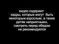 Хаски Аляска рожает за 19 часов семь щенят.