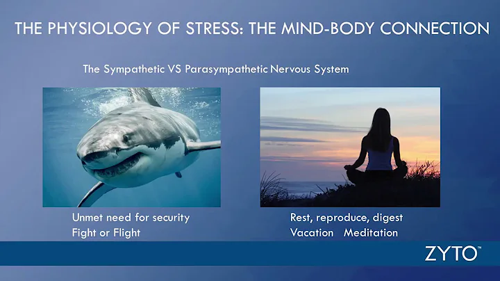 ZYTO Wellness Webinar  Mindful Solutions to Addres...