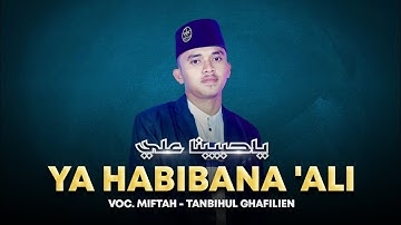 YA HABIBANA ALI | TANBIHUL GHAFILIEN