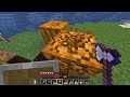Farming on the Wildflower SMP Ep6