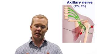 Chiropractic Treatment of Quadrangular Space Syndrome (QSS)