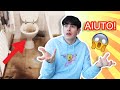 7 COSE che NON TI DICONO sulla COREA DEL SUD ! | Seconda Parte