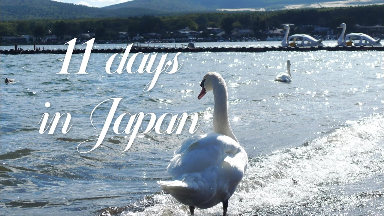 11-days-in-japan-youtube