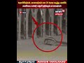 Squirrel | பேராசிரியர்கள், மாணவர்கள் என 20 பேரை கடித்த அணில் ..அணிலை கண்டு நடுங்கும் மாணவர்கள் |N18S