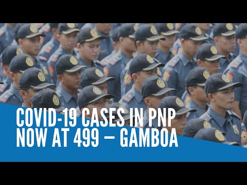 COVID-19 cases in PNP now at 499 — Gamboa