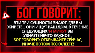 :  :      ,   ...