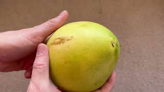 I chose not to eat it : HONEY POMELO from China. Do you dare to eat it?