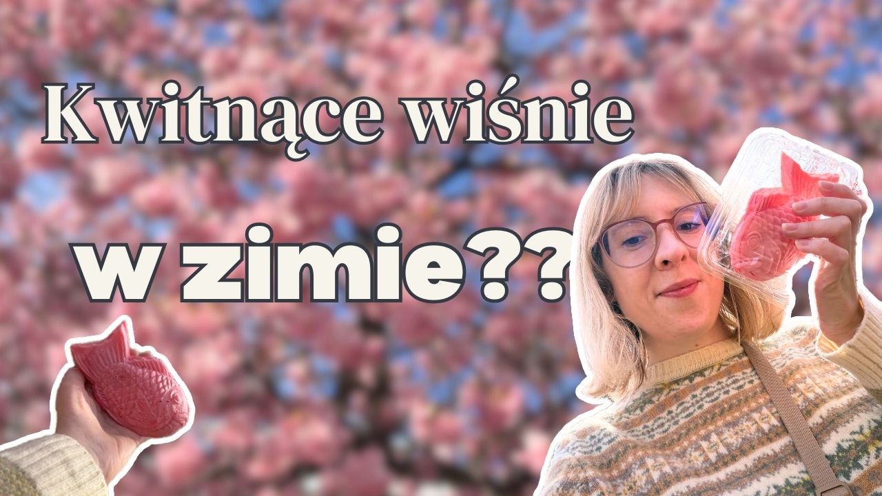 🌸Kwitnące wiśnie zimą w Japonii?! 🗾Spontaniczny wyjazd na południe od Tokio 🗻Widok na Górę Fuji