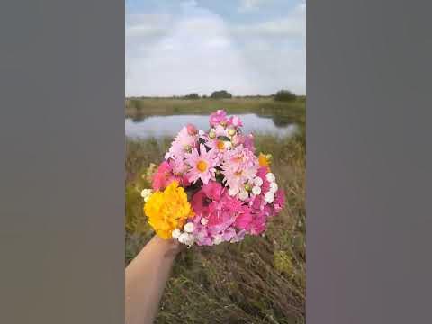 Александр Барыкин. Букет - YouTube