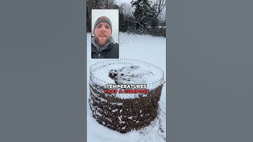 How does a compost pile generate heat and break down?  #compost #bacteria #fungi #composting