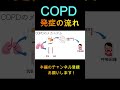 COPDになるまでの流れ #Shorts