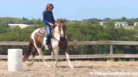 Wallace  ***For info, price, etc., go to our website*** Valley View Ranch