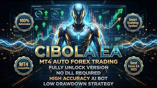 Cibola EA MT4 – Full Installation Guide (Build 1441 | No DLL) | Best Forex EA 2026|