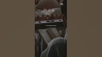 تلاوة خاشعة 🌿 #القارئ_طارق_محمد