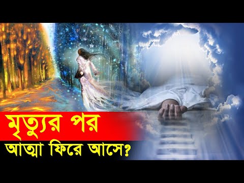 ভিডিও: সব পর্যটক কোথায় যায়?