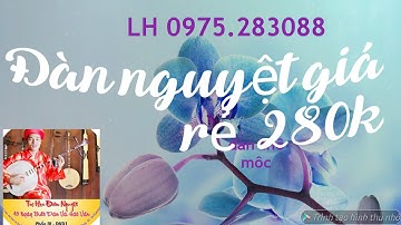 DẠY ĐÀN NGUYỆT CHO NGƯỜI DỐT CỰC DỐT  ĐIỆU CỜN NHỊP ĐÔI PHÁCH TƯ  CƠ BẢN 1