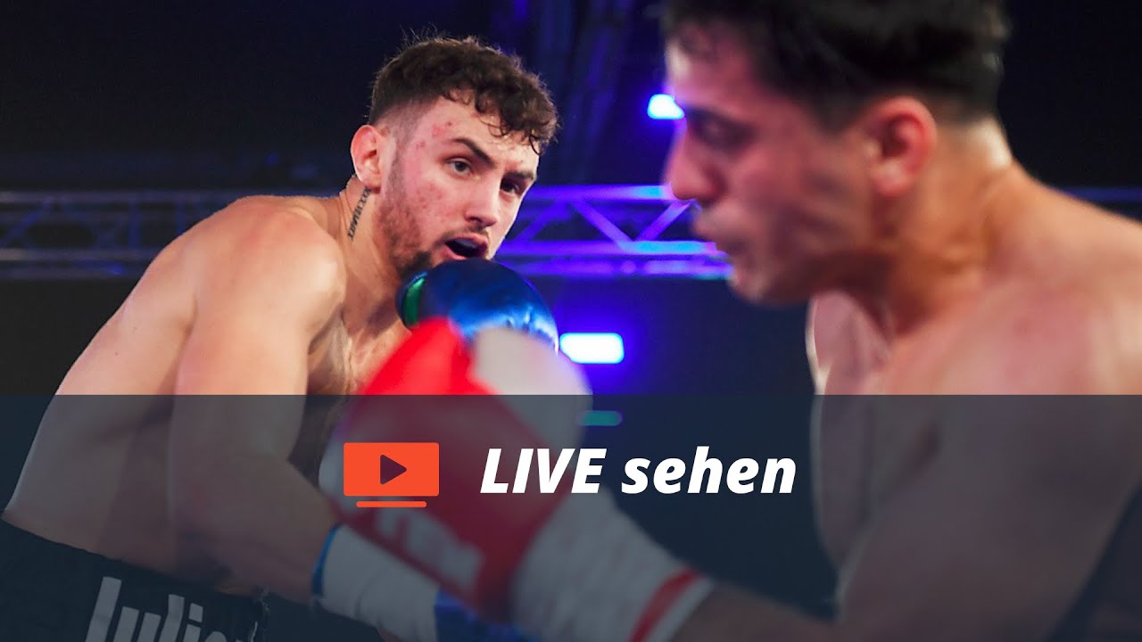 live kampf boxen