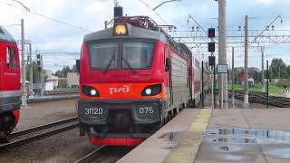 Электровоз ЭП20-075 с поездом№021Ч Мурманск - Санкт Петербург станция Дача Долгорукова 15.08.2021
