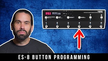 Program ES-8 Buttons To Do ANYTHING w/Assigns!!!
