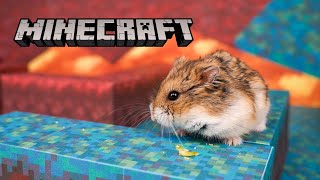 Hamster escapes from Nether  - Minecraft Maze