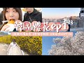 【Korea VLOG】韓國櫻花2023 慶福宮韓服拍照｜穿著韓服走進青瓦台｜不小心弄壞了相機😭｜漢南洞買襪子有非一般的服務!｜星期日的廣藏市場很多人