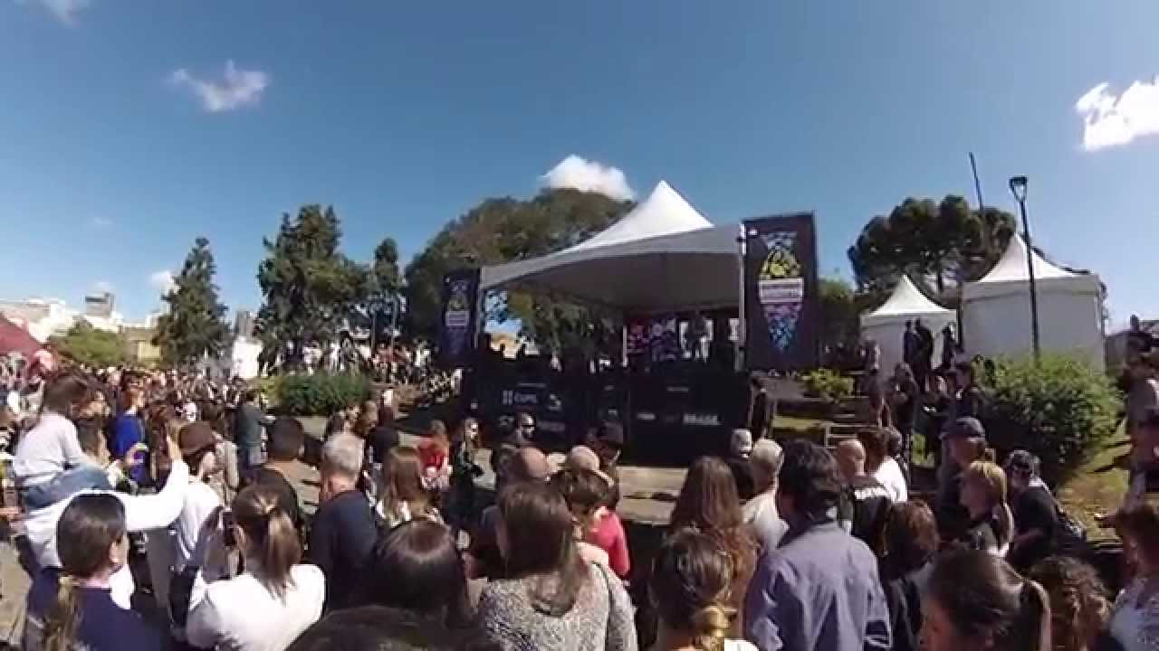 BLINDAGEM BICHO DO PARANA