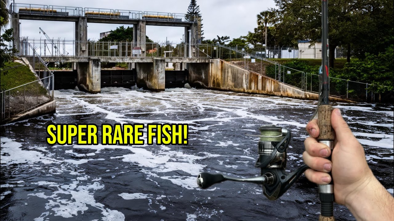 These EXTREMELY RARE Fish only Live HERE!?!?! (New PB!)