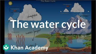 The water cycle  | Ecology | Khan Academy