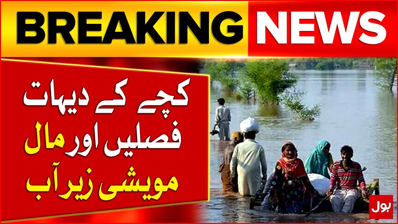 High-Level Flood in Indus River at Moro | Villages, Crops & Livestock Submerged | BOL News