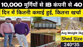10,000 मुर्गियों से 40 दिन में IB कंपनी से कितनी कमाई हुई, कितना फायदा हुआ, Low cost EC Poultry farm