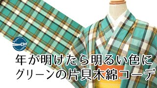 普段きもの おススメの着物とコーディネート 片貝木綿編  横浜元町/おべべほほほ